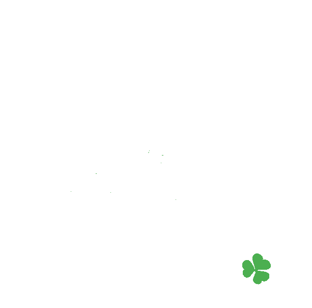 House of Liberty – Fahrzeugpflege & Fahrzeugaufbereitung Heitersheim